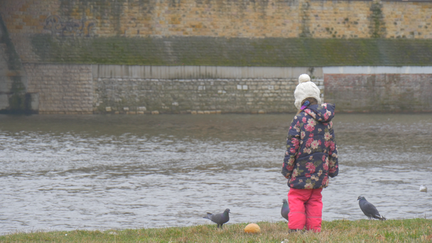 Ребенок взял кусок хлеба с земли Чайки летают маленькая девочка кормит птиц Чайки Голуби летают на реке в городе
 - Кадры, видео