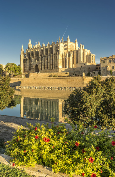 Mallorca kathedraal in Balearen               - Foto, afbeelding