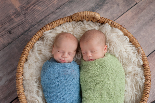 Meninos gêmeos dormindo em uma cesta
 - Foto, Imagem