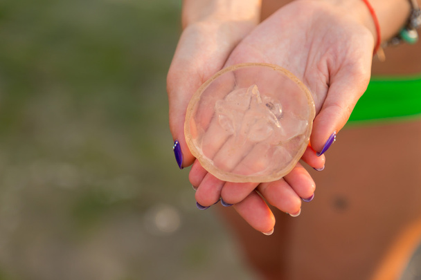Chica se aferra a lodoshke pequeñas medusas. El verano, la naturaleza hermosa, las vacaciones agradables
. - Foto, imagen