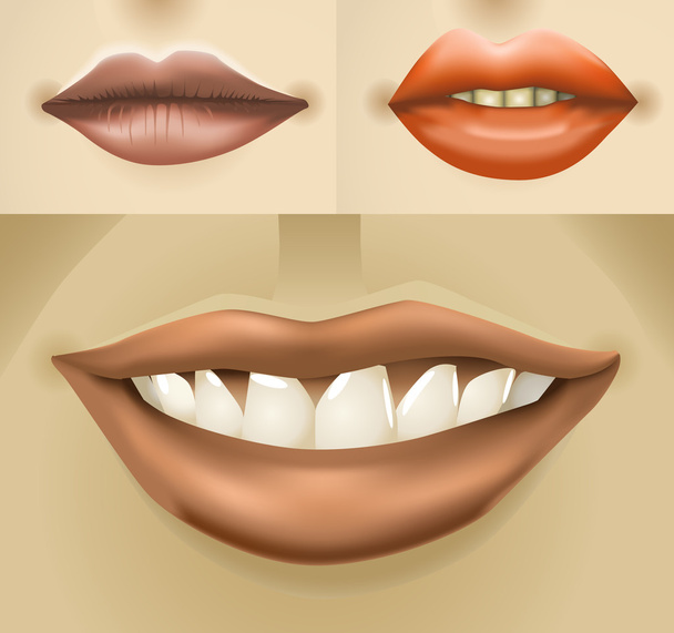 Conjunto de labios de mujer
 - Vector, Imagen