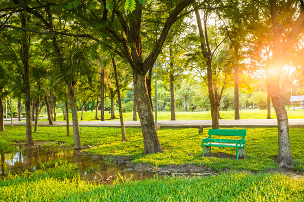 緑豊かな公園の木の屋外のベンチで - 写真・画像