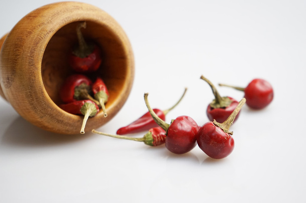 Composition with dried red hot peppers and wooden pot - Foto, immagini