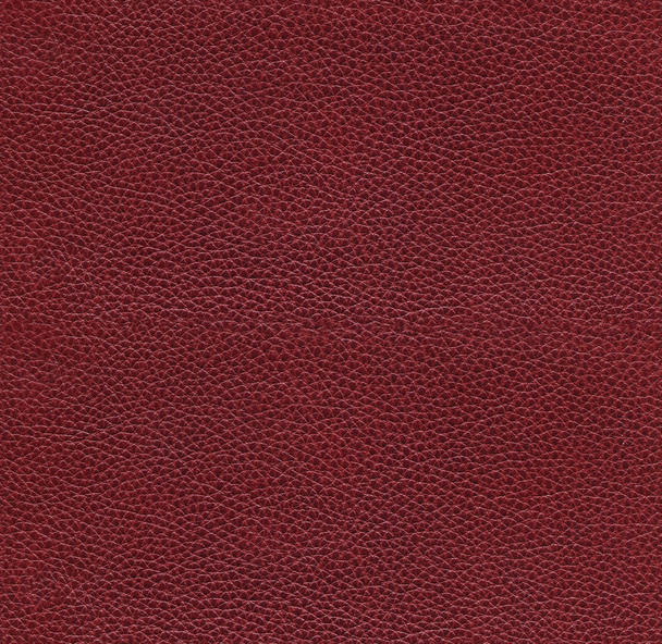 seamless leather texture - Fotoğraf, Görsel