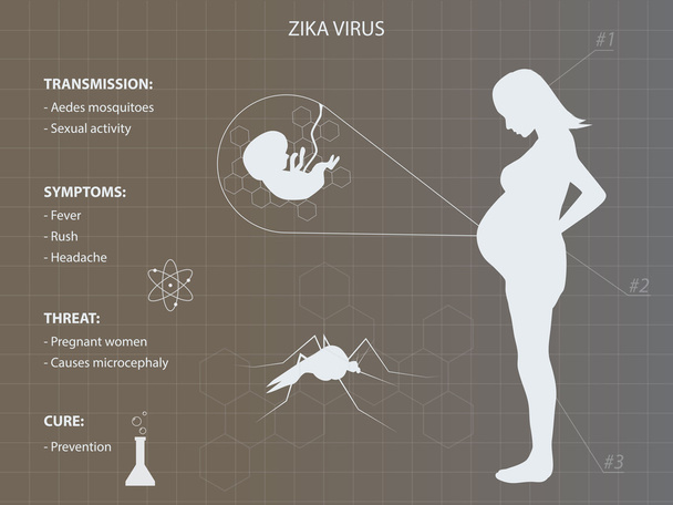 Zika virus infographic with pregnant woman - Vector, Image