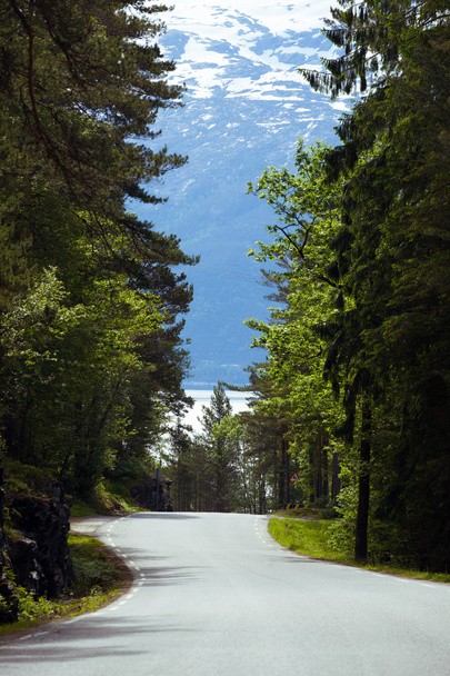 road at mountains - Photo, image
