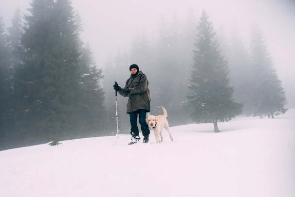 man hiking in the snowy mountains with labrador dog - Photo, Image