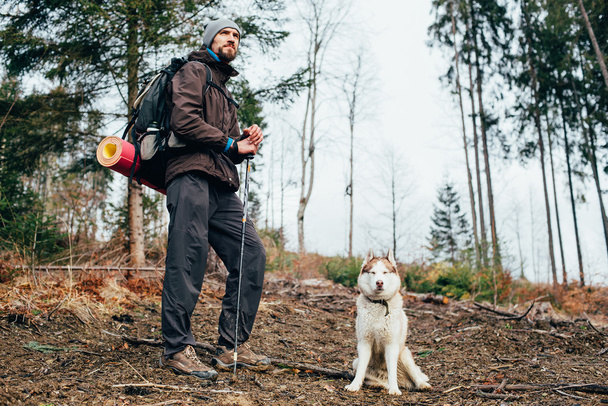 male hiker with siberian husky dog - Фото, зображення