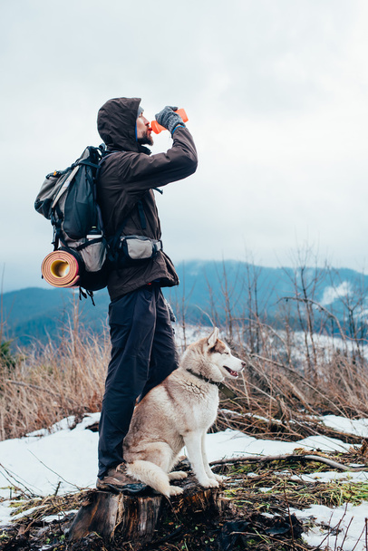 hiker with siberian husky dog looking at beautiful view in mountains - Valokuva, kuva