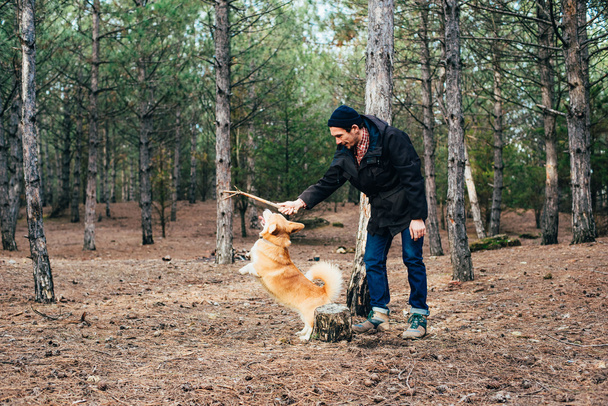 man playing with welsh corgi dog in forest - Φωτογραφία, εικόνα