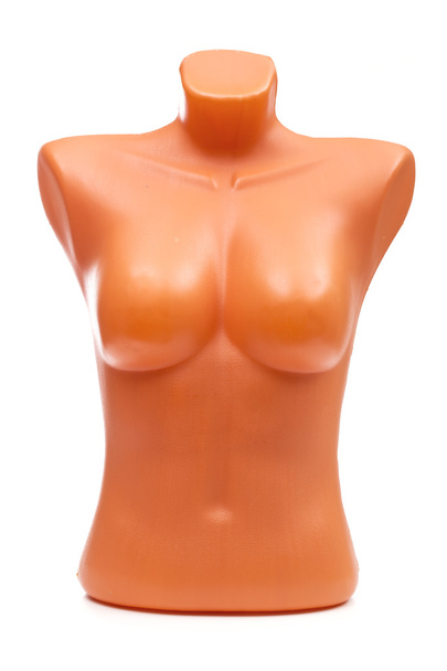 Mannequin on the white background - Photo, Image