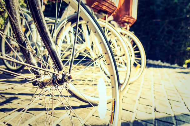 metal Bicycle wheels - Foto, Imagem