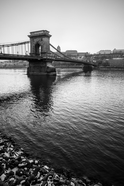 Bridge mono muotokuva
 - Valokuva, kuva