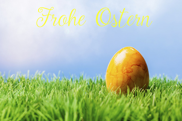 Niemiecki Wielkanoc tekst pozdrowienia; Żółta Pisanka w trawie - Zdjęcie, obraz