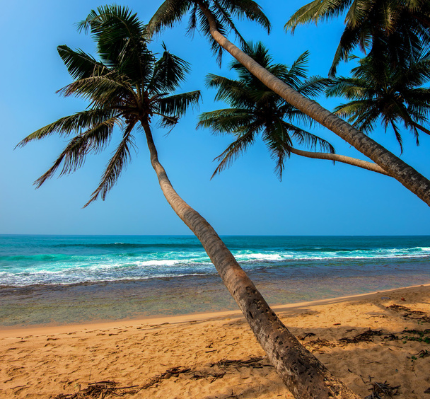Ocean Beach Sri Lanka - Valokuva, kuva