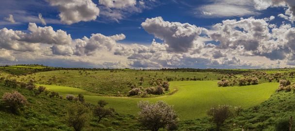 Ανοιξιάτικο τοπίο. Murgia Alta εθνικό πάρκο: λοφώδες τοπίο με χουρμαδιές. Ιταλία - Φωτογραφία, εικόνα