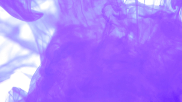 澄んだ水に広がる紫のインク - 映像、動画
