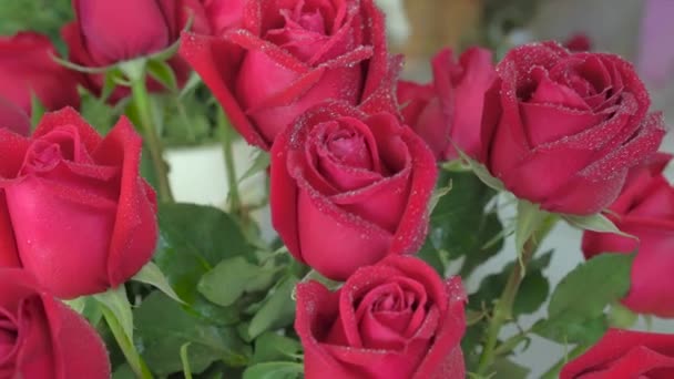 Virágbolt, gyönyörű frissen vágott kis vízcseppek Rózsa - Felvétel, videó