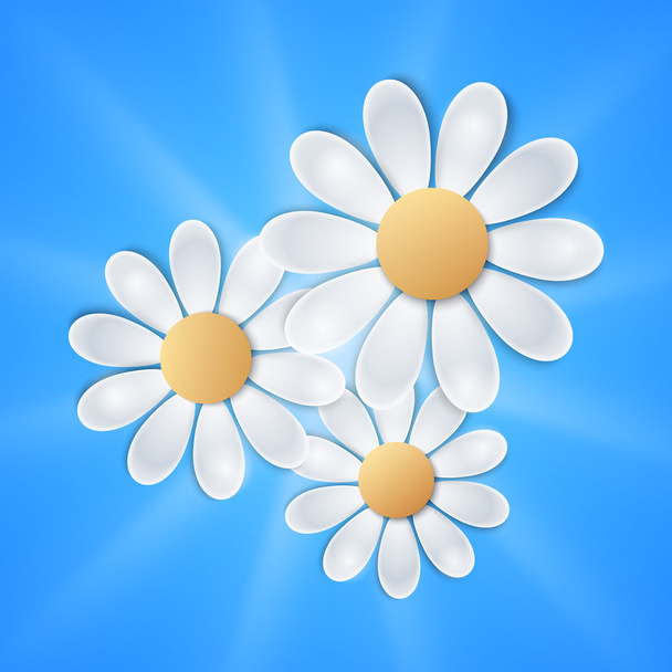 White flowers on blue background - Vettoriali, immagini