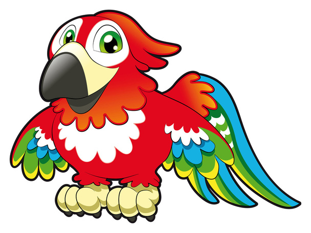 Baby Parrot. - Vector, Image