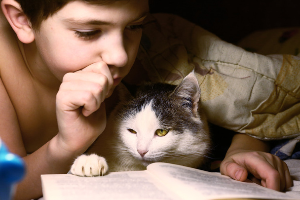 boy evening read book with cat - Photo, Image