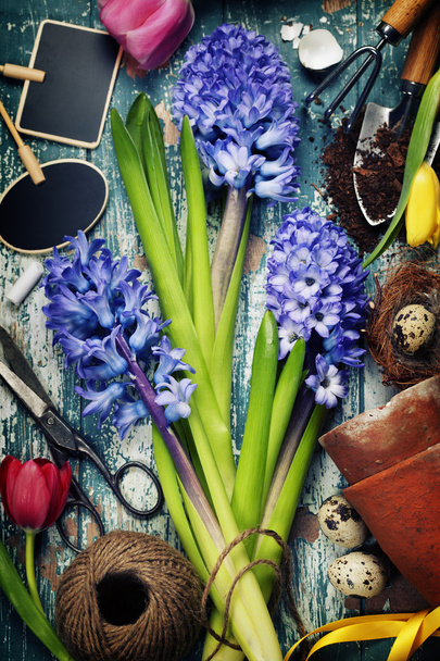 Spring hyacinth, easter eggs and garden tools - Photo, image