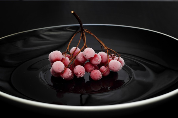 Frozen red viburnum berries - Photo, Image