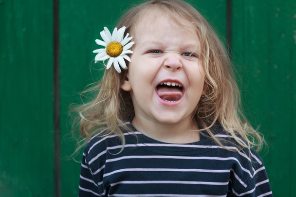 Retrato de cabeza y hombros de una rubia de dos años con flores de manzanilla en el pelo
 - Foto, imagen