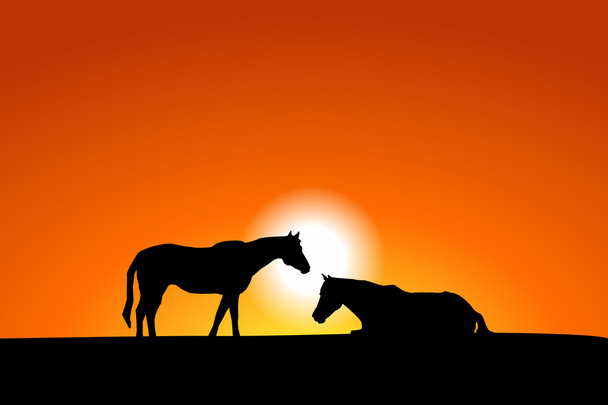 Коні на заході сонця
 - Вектор, зображення