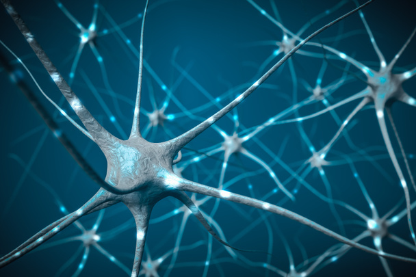 Signaalit aivojen neuroneissa, 3D-kuva hermoverkosta
. - Valokuva, kuva