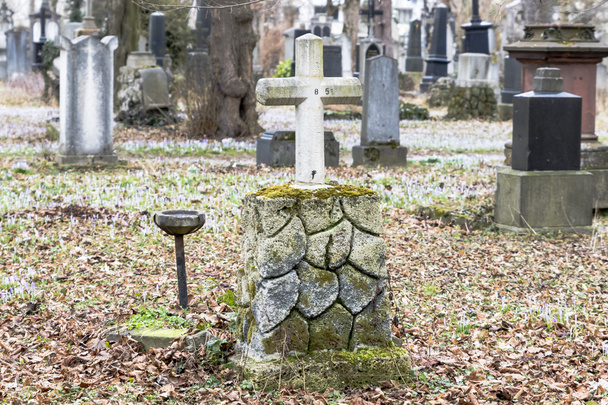 Mezar taşı mezarlık Park açık havada - Fotoğraf, Görsel