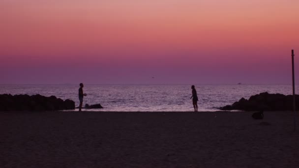 Summer life at the sunset - Materiał filmowy, wideo