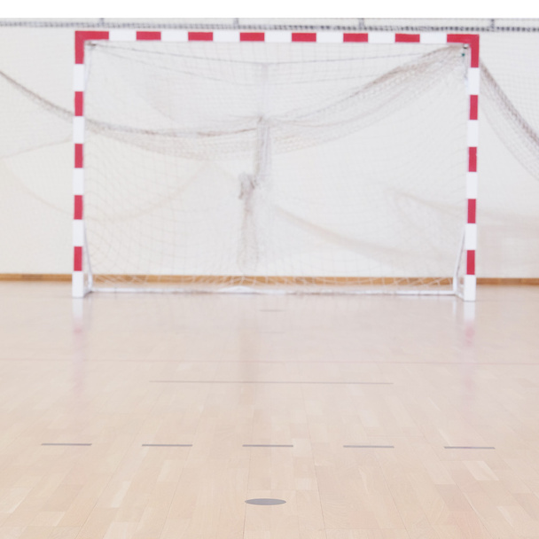 gate in the hall for handball - Фото, зображення