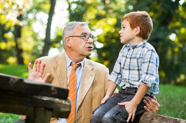dědeček a vnuk v parku - Fotografie, Obrázek