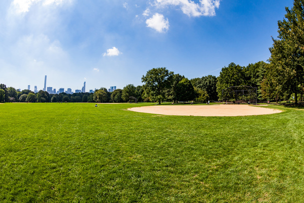 Views from the big meadow Central Park to Midtown - Zdjęcie, obraz