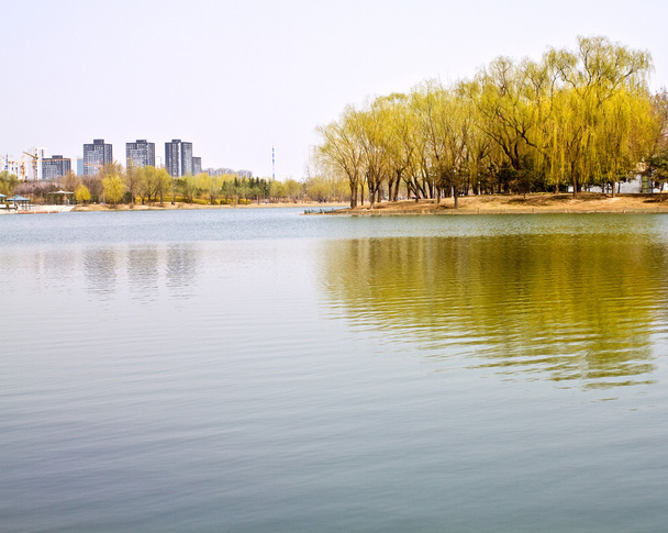 反射とそれに湖、緑の木の横にある市立公園、 - 写真・画像