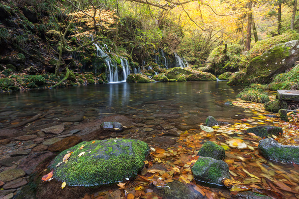 vodopád v podzimním lese - Fotografie, Obrázek