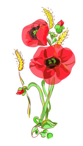 Bouquet with poppies and ears. - Vector, Image