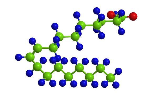 Ácido oleico - estructura molecular
 - Foto, Imagen