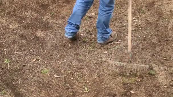 Man planting seeds - Filmati, video