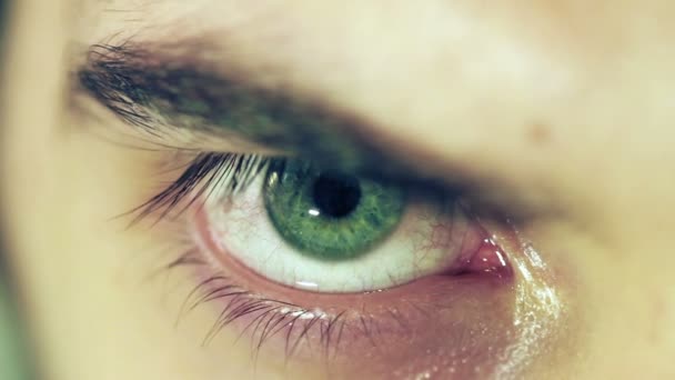zelené oko makro - Záběry, video
