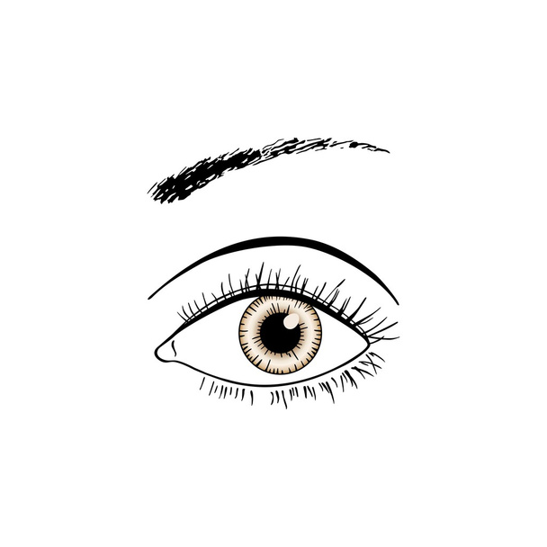 bruin oog lijntekeningen - Vector, afbeelding