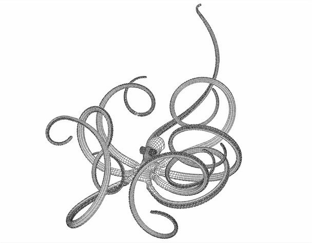 line art illustration of an octopus - Valokuva, kuva