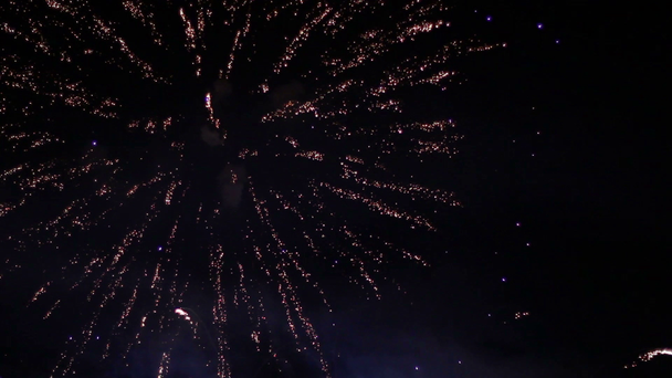 színes tűzijáték az éjszakai égbolton - Felvétel, videó