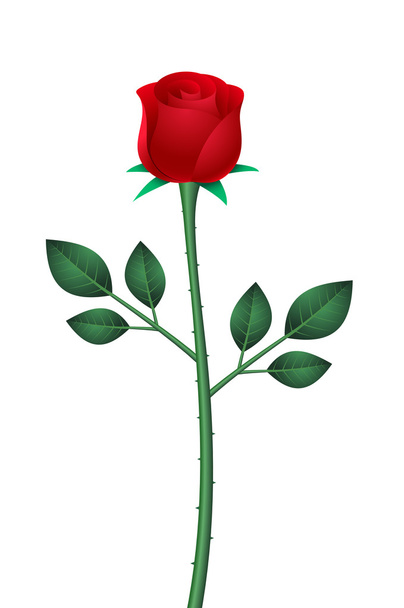 στυλιζαρισμένη τριαντάφυλλο με φύλλα - Διάνυσμα, εικόνα