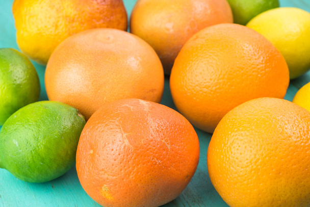 Assortment of citrus fruits. - 写真・画像