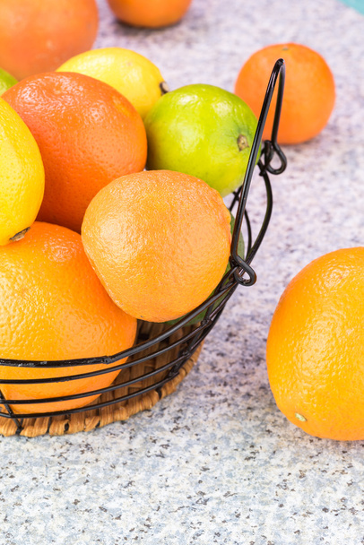 Assortment of citrus fruits. - Foto, Imagen