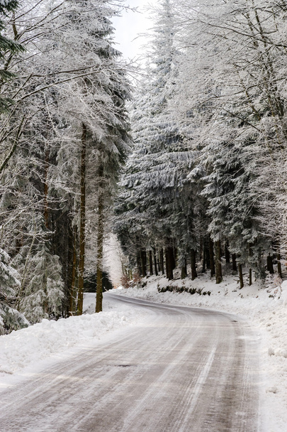 Greasy winter road in beautiful forest - Photo, Image