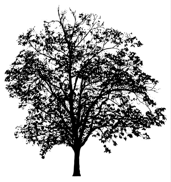 Силуэт дерева, векторная иллюстрация
 - Вектор,изображение
