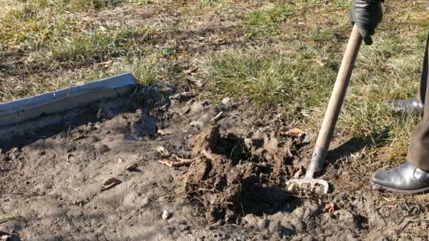 Ásás tavaszi föld talaj kert vasvilla - Felvétel, videó